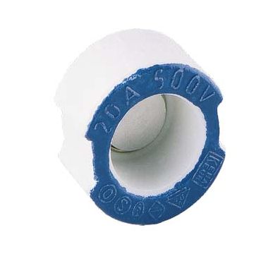 Siemens AG passchroef 20A blauw (5SH315)