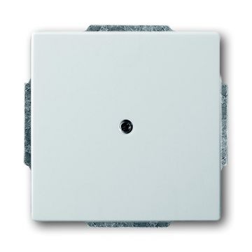 ABB Busch-Jaeger blindplaat - Pure stainless steel (1742-866)