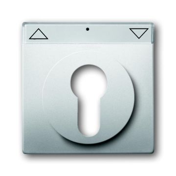 ABB Busch-Jaeger centraalplaat sleutelschakelaar - Pure stainless steel (1755 SL/PZ-866-101)