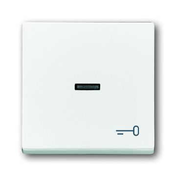 ABB Busch-Jaeger 1789 TR-84 BUS LENSWIP PULSDR KEY WIT (1789 TR-84)