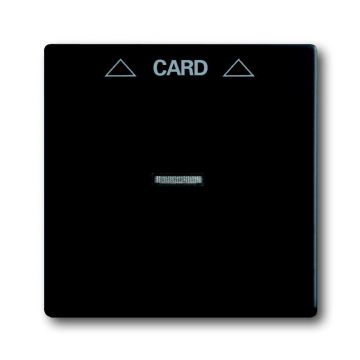 ABB Busch-Jaeger 1792-885 BJ CPL V CARD-SCHAK F-MATZW (1792-885)