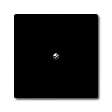 ABB Busch-Jaeger blindplaat met draagraam IP44 - All weather 44 antraciet (2138-35)