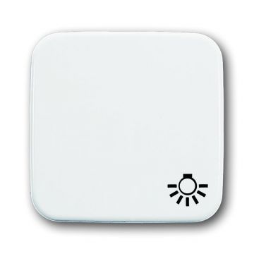 ABB Busch-Jaeger aan/uit schakelaar pulsdrukcontact met licht symbool alpinwit (2520 LI-214)