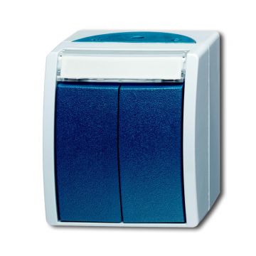 ABB Busch-Jaeger 2-voudige tekstpulsdrukker ip44 ocean (2621 WN-53-205-101)