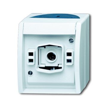 ABB Busch-Jaeger 2661 W-53 BJ OPB.LICHTSIGNAAL E10 OCEAN PER 10 STUKS (2661 W-53)