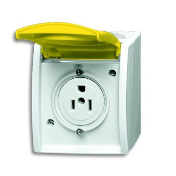ABB Busch-Jaeger 3015 EWN-54 BUS TEKSTWCD KD NEMA 15A/125V (3015 EWN-54)