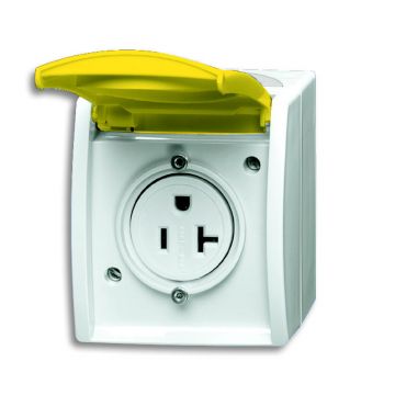ABB Busch-Jaeger 3016 EWN-54 BUS TEKSTWCD KD NEMA 20A/125V (3016 EWN-54)