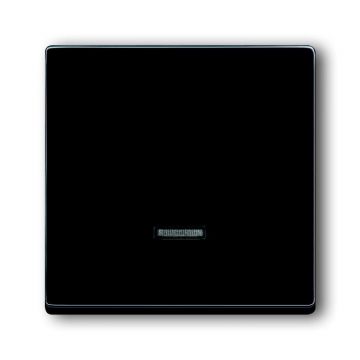 ABB Busch-Jaeger 6543-81-101 BJ TIPTOETS V.DIMMER ANTRACIET (6543-81-101)