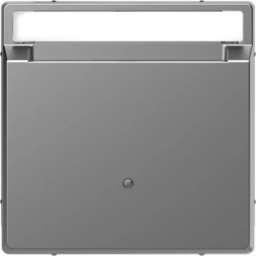 Merten by Schneider Electric centraalplaat kaartschakelaar met tekstvenster - Systeem-D RVS look (MEG3854-6036)
