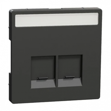Merten by Schneider Electric centraalplaat data (RJ45) draagframe 2-voudig met stofschuif en tekstvenster - ACTASSI - Systeem-D antraciet (MEG4574-6034)