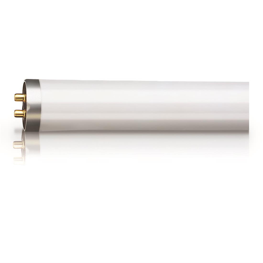 Actinic BL TL TL 8W/10 1FM/10X25CC